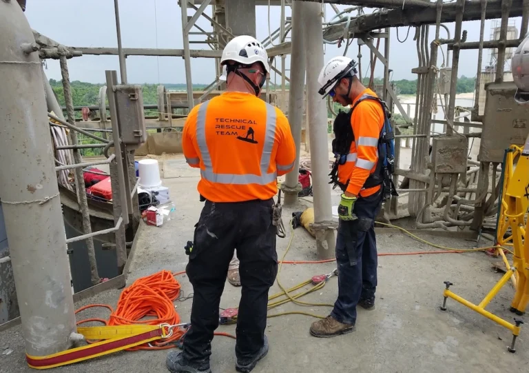 Embedded Safety Professional